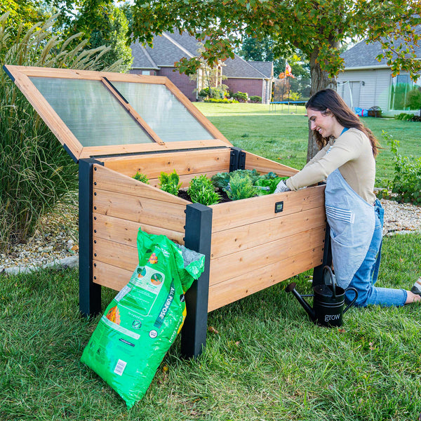 Aggie Cedar Cold Frame Box by Backyard Discovery – The Backyard Guys